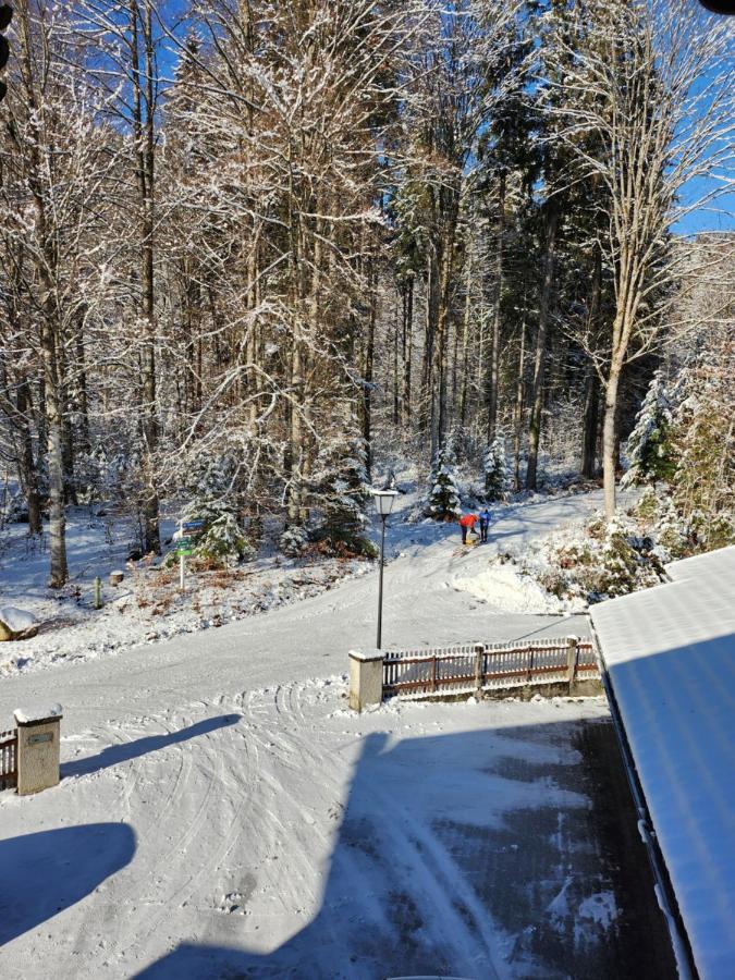 Ferienwohnung Haus Reindl Валхензее Екстериор снимка